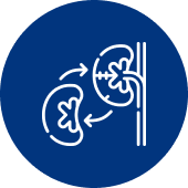 Best Kidney Transplant Hospital in Hyderabad